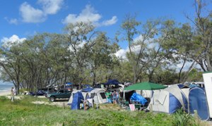 Image of a crowded campsite. Peak times means peak crowds at Inskip. Book well in advance.