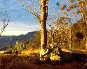 Image of well prepared, fit and experienced bushwalkers venture to the remoter locations within Main Range National Park.