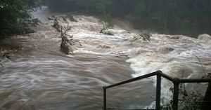 After significant rainfall, walking tracks may be closed for public safety. Please check the Park alerts before you visit. This is Purling Brook Falls circuit in flood after exTropical Cyclone Debbie, 2017.