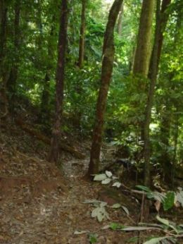 The Blue Arrow circuit walk in Mount Whitfield Conservation Park. 