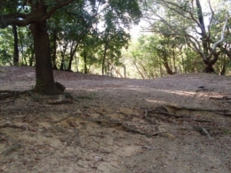 Camp site one at Midway Waterhole camping area. 