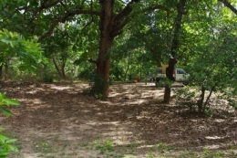 Photo of Welcome Waterhole camping area