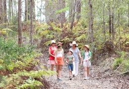 Watch out for other trail users. Although the trails are forest road width, you never know what is around the corner. 