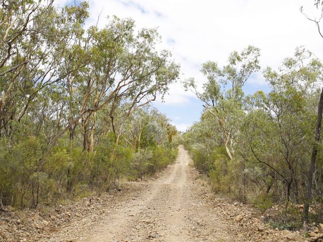 Go four-wheel driving through the rugged ranges of Sundown National Park.