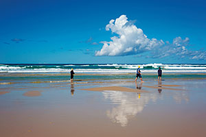 Sandy beach, Fraser Island. 