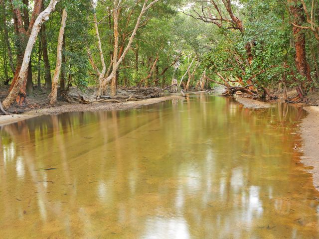 Stay the night at beautiful Saltwater Crossing camping area.