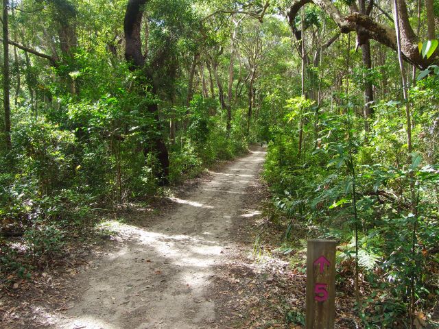 The Alexandria Bay Walk is bathed in soft light and welcoming shade on a hot summer day.