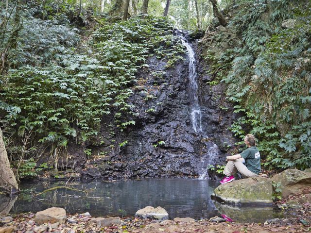 Stop to enjoy Tim Shea Falls on the Scenic and Barker Creek circuit tracks.