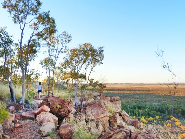 The Constance Range track is an enjoyable walk.