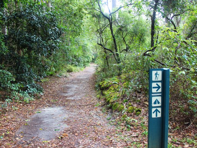 From the dunes, this walk levels out to a comfortable stroll.