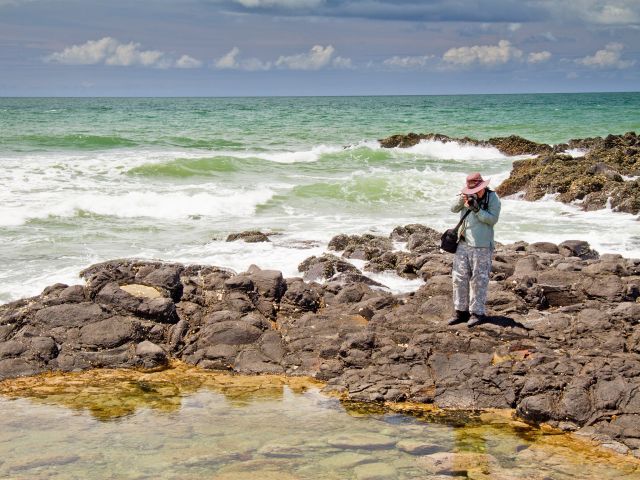 Explore the rock pools at low tide.