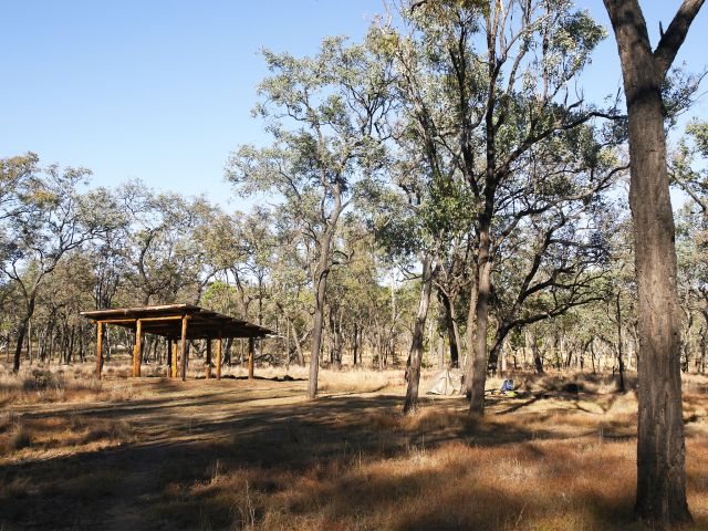 At Gadd's walkers' camp, tent sites are scattered throughout an open grassy area..