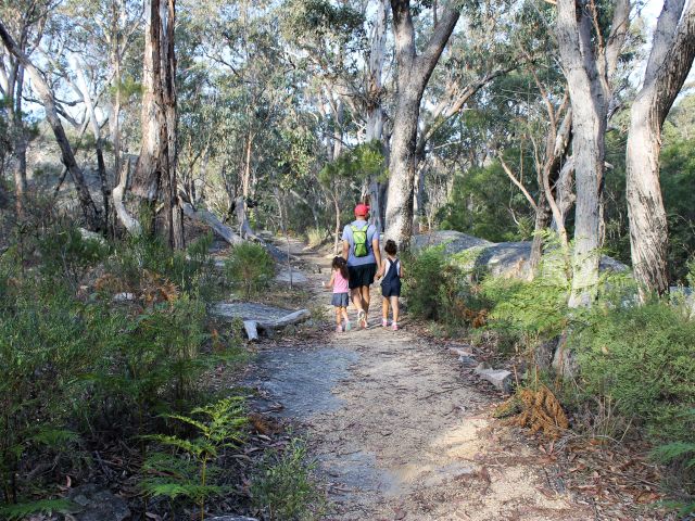 Discover wildflowers and birdlife along the easy Dr Roberts Waterhole walk.