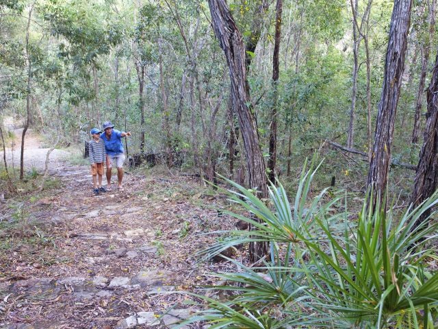 The Ganoonga Noonga lookout track rises steeply through grassy, open woodland.