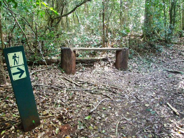 Take advantage of rest points provided on the Cedar Grove hiking trail.