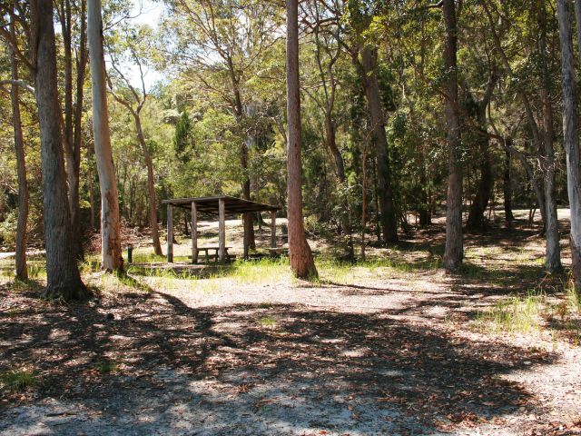Camp beneath the shady canopies of tall eucalypt trees.