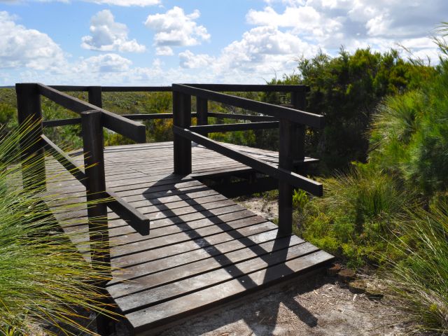 The lookout at the end of the track has views of Honeyeater Lake.