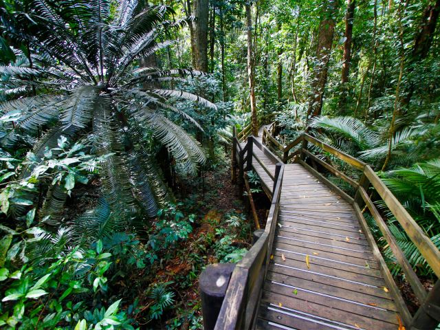 Explore the Jindalba boardwalk from the day-use area.