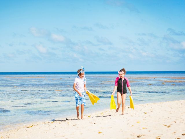 Lady Musgrave Island's lagoon is ideal for beginner snorkellers.