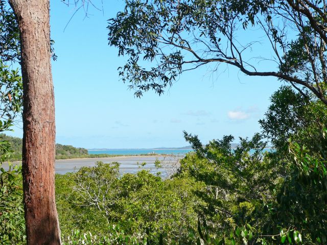 The Yuwi plant trail welcomes walkers with sea views before heading down through open woodland.