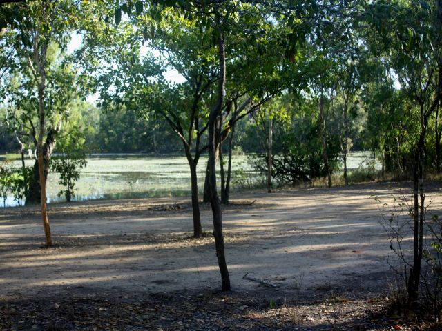Picnic and birdwatch from the shady banks.