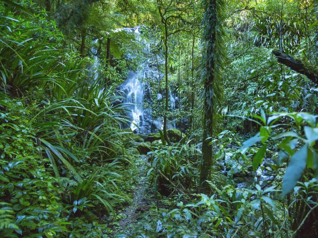 Be enticed by glimpses of Chalahn Falls.