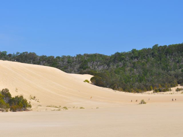 Sand tobogganing at The Desert.