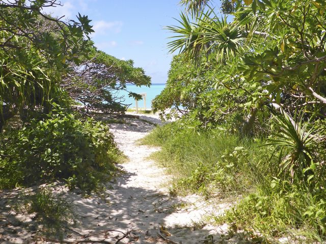 Emerge from the forest and onto the beach for sweeping views of the coral lagoon.