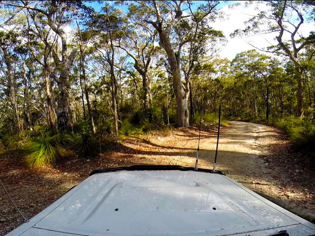 You'll share the forest drive with trail bike riders and walkers.