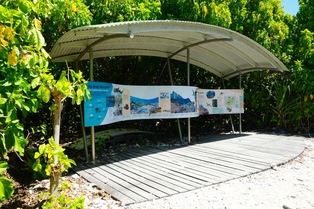 Learn about the the island and surrounding waters.
