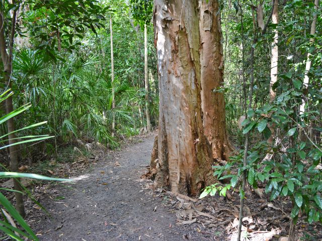 The Diversity boardwalk is an easy 1.2km track.