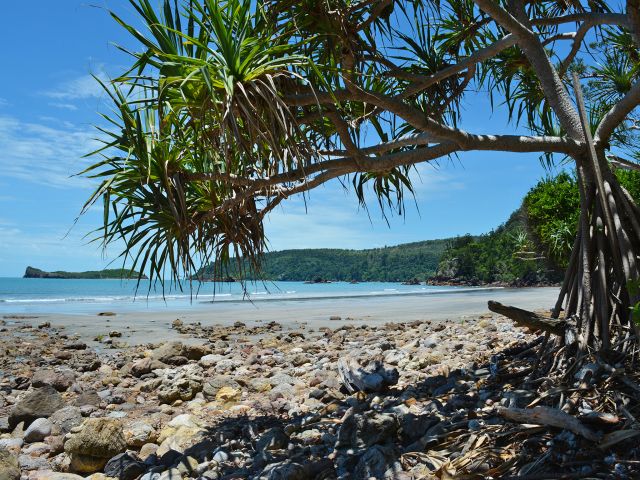Photo of the beach approaching from the Beachcomber Cove track