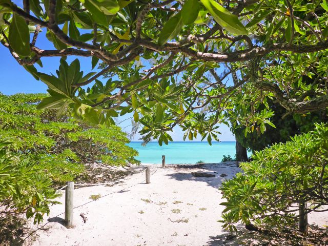 Enjoy ocean views from your tent.