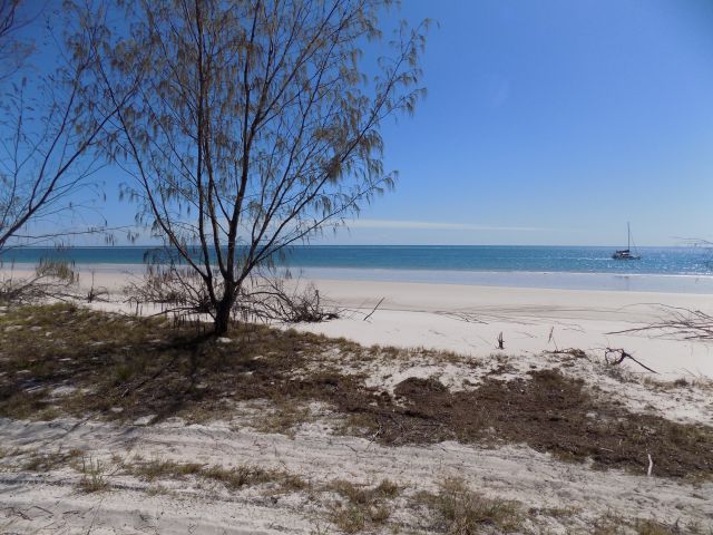 Image of Moon Point camping area beach views.