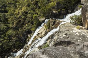 Photo of Davies Creek Falls