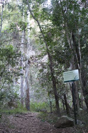 Image of a safety sign in Baga National Park.