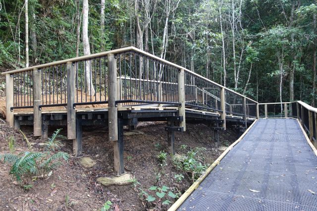 Wheelchair-accessible ramp on the twin kauris walk, Lake Barrine.