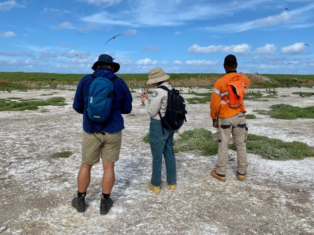 Rangers conducting seabird survey.