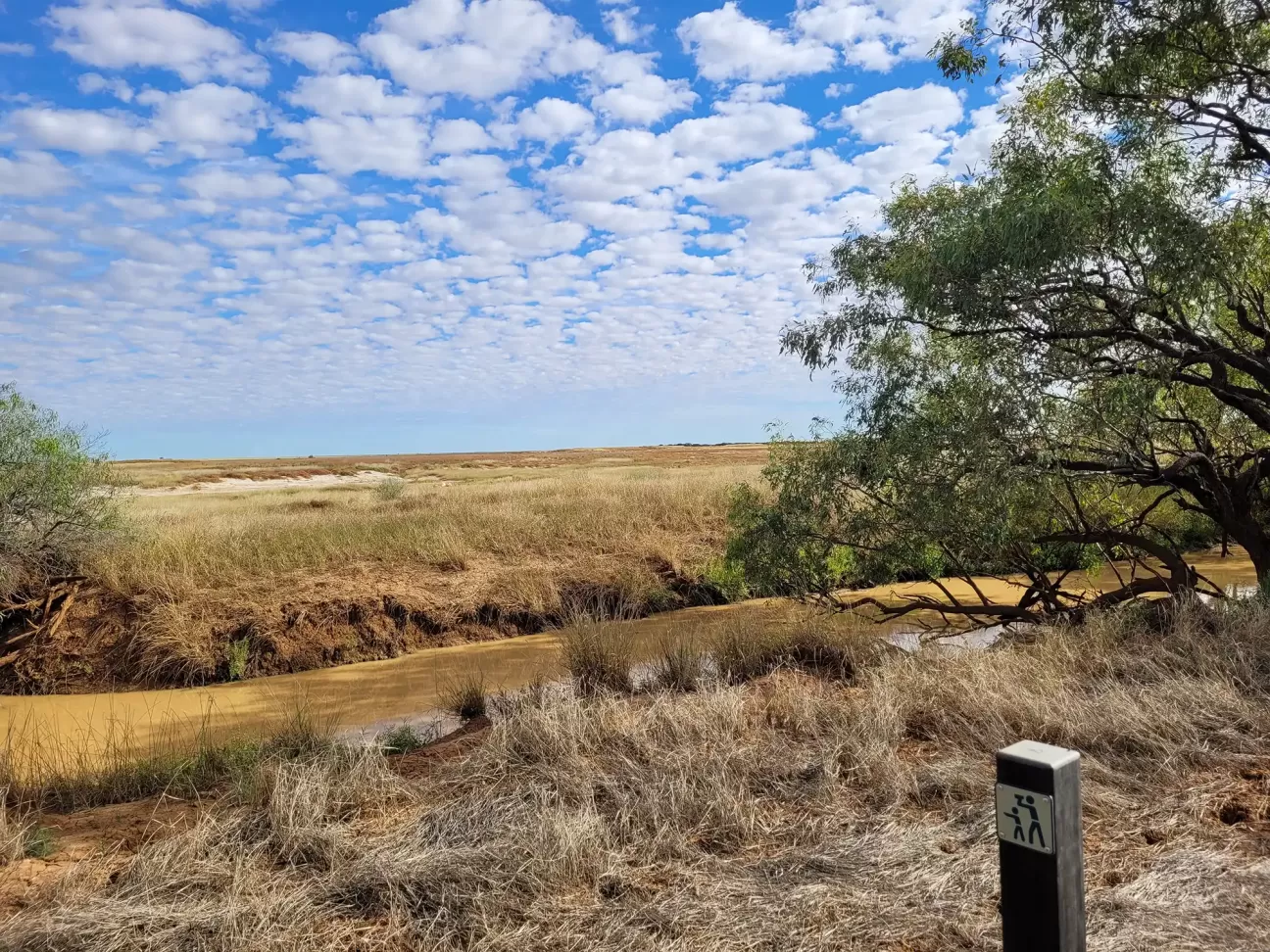 Take in the vast open landscape of Elizabeth Springs from the viewing point at Spring Creek.