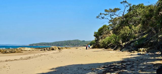 People walking Curtis Island beach searching for rubbish to collect.