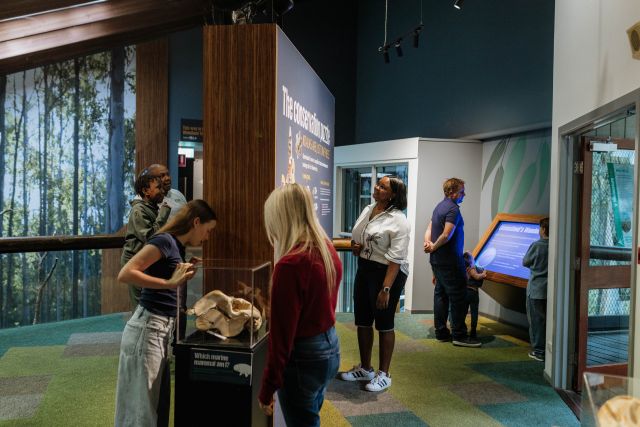 Photo of visitors interacting with educational displays about Queensland’s threatened species.