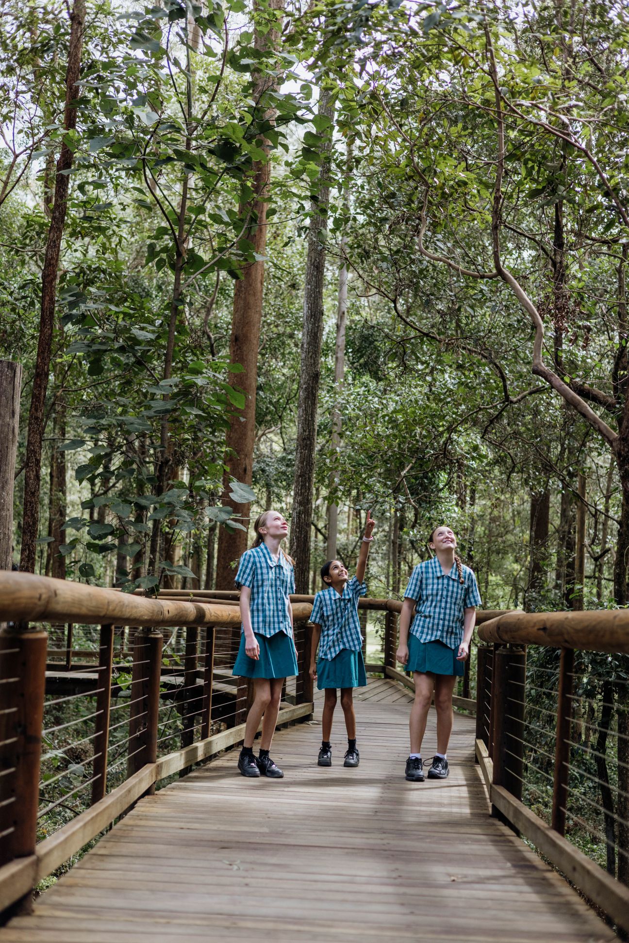 Photo of school children admiring the wildlife in Daisy Hill Conservation Park.