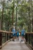 Photo of school children admiring the wildlife in Daisy Hill Conservation Park.