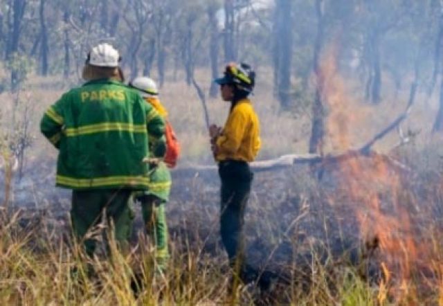 Fire staff working on planned burn site