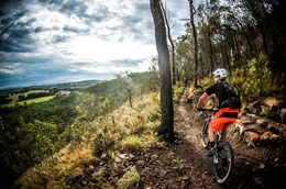 View from the trails. 