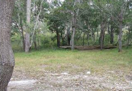 Neebs Waterhole camping area offers walkers a picturesque camping experience.