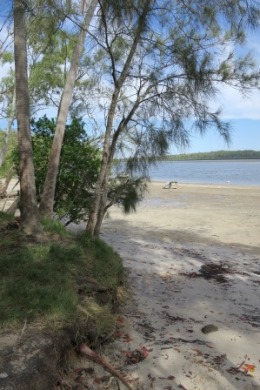 Enjoy your own sandy shore at Hedleys camping area. 