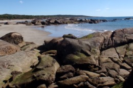 People in boats can enjoy the remote and pristine beaches around Rodds Peninsula, accessible only by boat. 