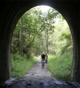 Cyclists: slow down when entering the tunnel to allow your eyes to adjust to the darker environment! 