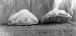 Image of shoes of a shod bullock (attached to bone) found on Mount Morris Station in 1902. They are thought to be from one of Leichhardt's bullocks.